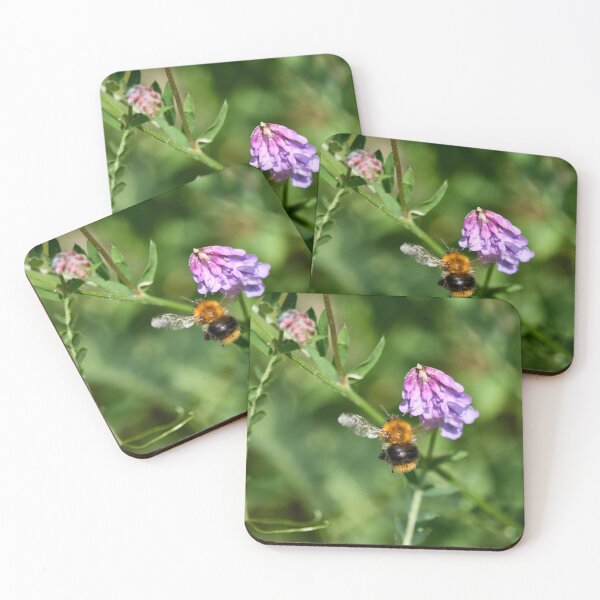 Item preview, Hunt of the honey. Common carder bee designed and sold by Jouko Lehto Photography.