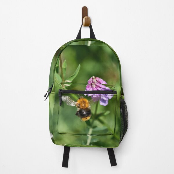Item preview, Hunt of the honey. Common carder bee designed and sold by Jouko Lehto Photography.