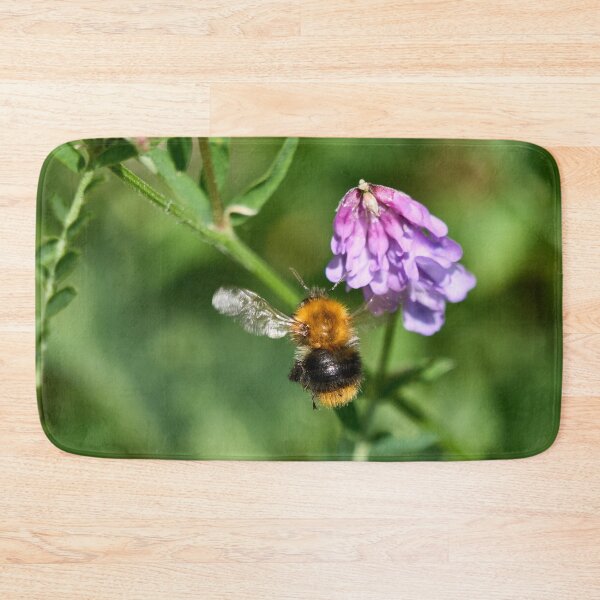Item preview, Hunt of the honey. Common carder bee designed and sold by Jouko Lehto Photography.