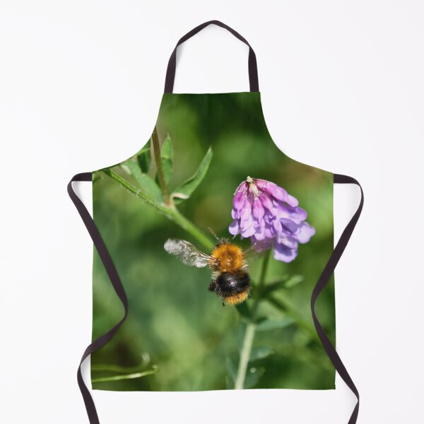 Item preview, Hunt of the honey. Common carder bee designed and sold by Jouko Lehto Photography.