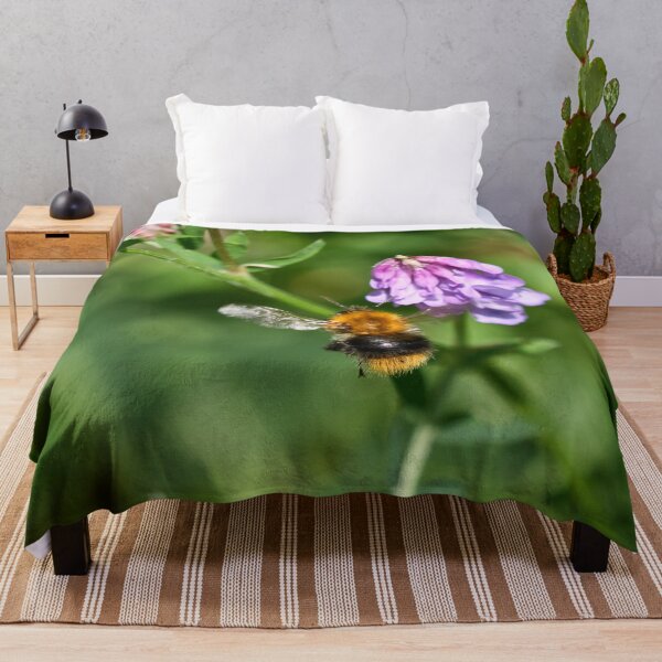Item preview, Hunt of the honey. Common carder bee designed and sold by Jouko Lehto Photography.