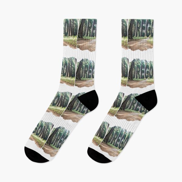 Item preview, OREGON 24 17 designed and sold by maveluzone.
