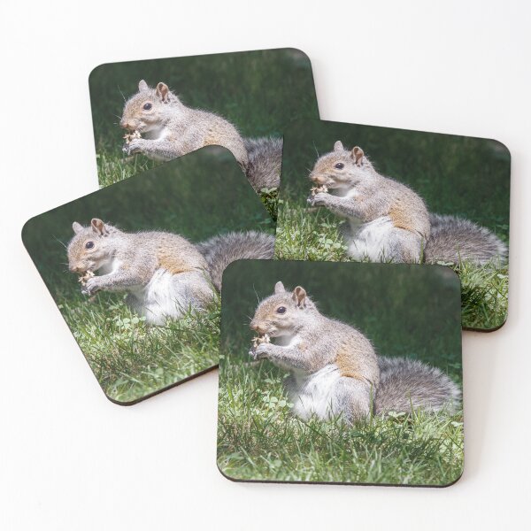 Item preview, Chewing on it designed and sold by Tim Dusenberry.