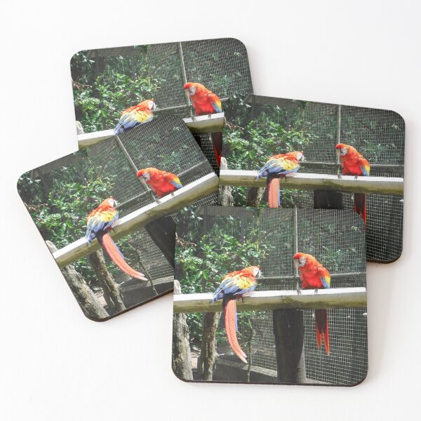 Item preview, Parrots designed and sold by GloriaGranat.