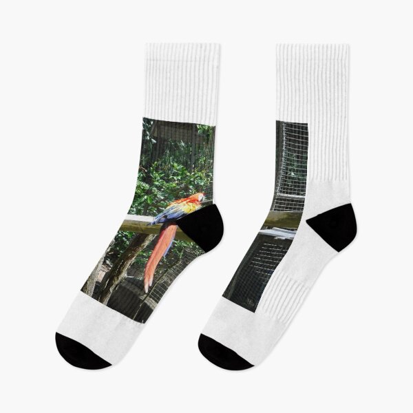 Item preview, Parrots designed and sold by GloriaGranat.