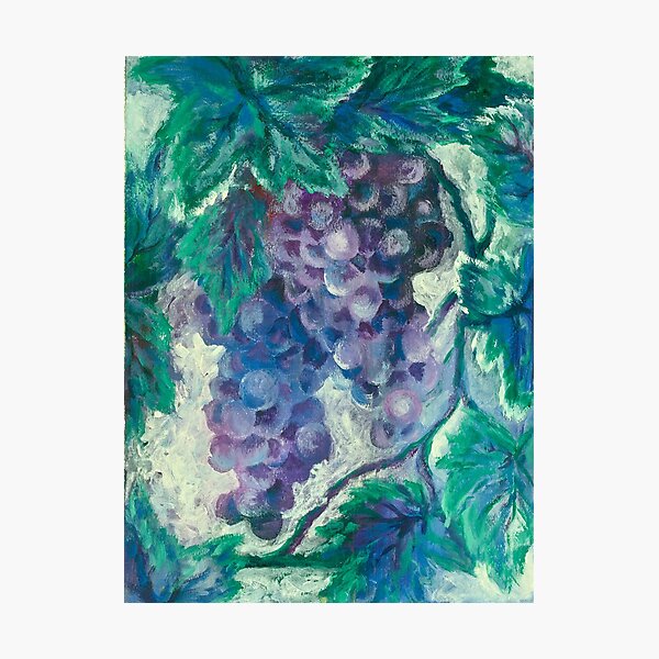 Fruit of the Vine Photographic Print