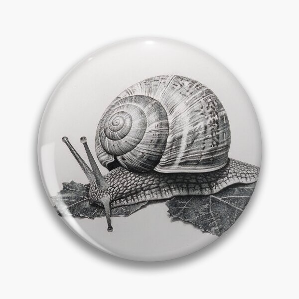 Item preview, Snail pencil drawing designed and sold by Pencil-Art.