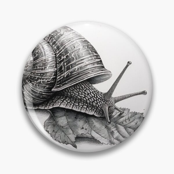 Item preview, Snail pencil drawing designed and sold by Pencil-Art.