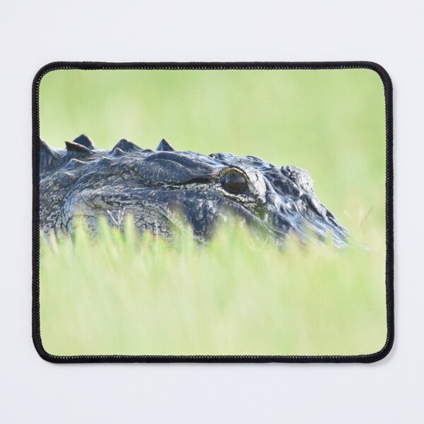 Item preview, Gator Up Close designed and sold by Loveourbug.