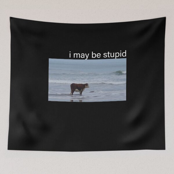 Item preview, I May Be Stupid Cow on Beach Meme designed and sold by PixVib.
