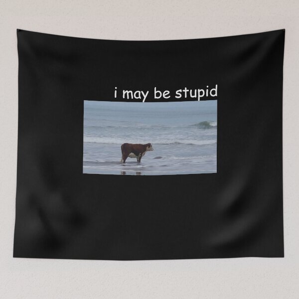 Item preview, I May Be Stupid - Cow on Beach Meme designed and sold by PixVib.