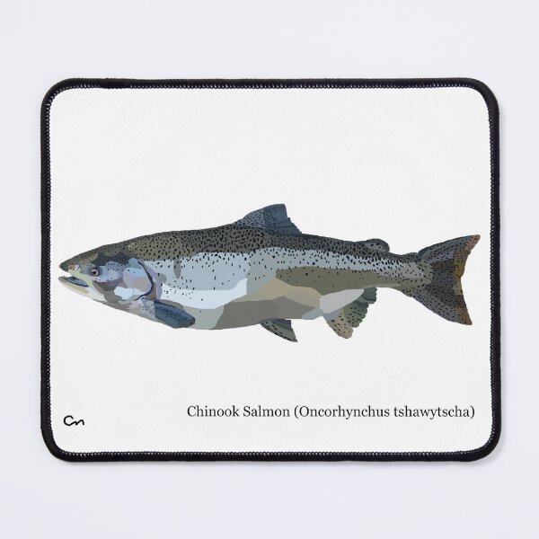 Item preview, Chinook Salmon designed and sold by ChrisBManos.