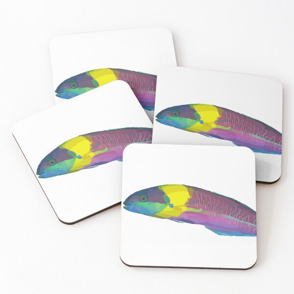 Item preview, Cortez Rainbow Wrasse designed and sold by ChrisBManos.