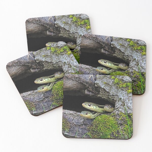 Item preview, Three Is A Crowd designed and sold by Deb Oppermann.