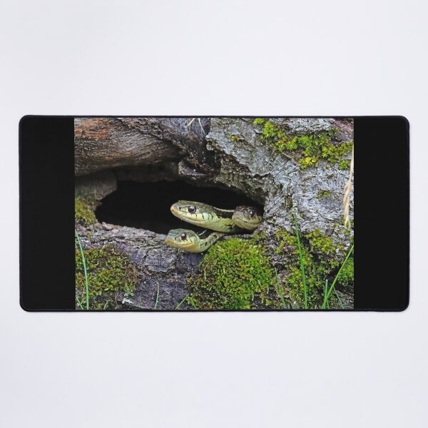 Item preview, Three Is A Crowd designed and sold by Deb Oppermann.