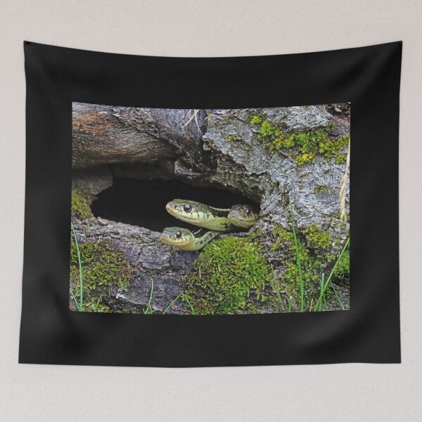 Item preview, Three Is A Crowd designed and sold by Deb Oppermann.