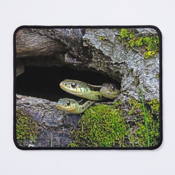 Item preview, Three Is A Crowd designed and sold by Deb Oppermann.