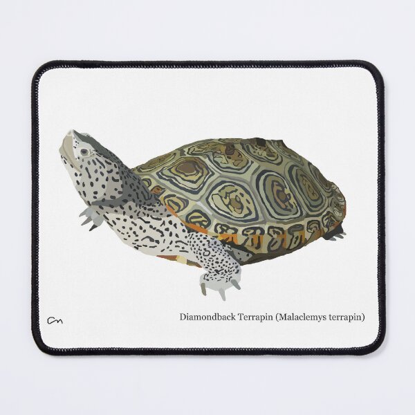 Item preview, Diamondback Terrapin designed and sold by ChrisBManos.