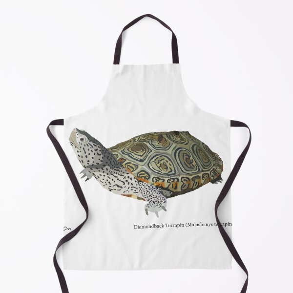 Item preview, Diamondback Terrapin designed and sold by ChrisBManos.