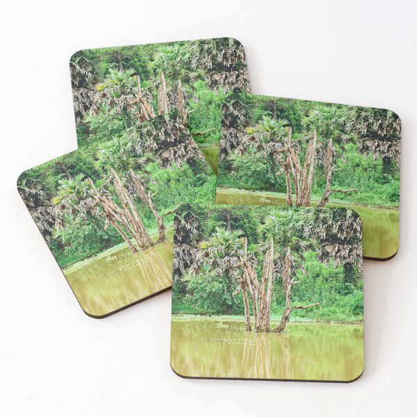 Item preview, Wild Serenity: Banlung, Cambodia’s Natural Paradise designed and sold by franck380.