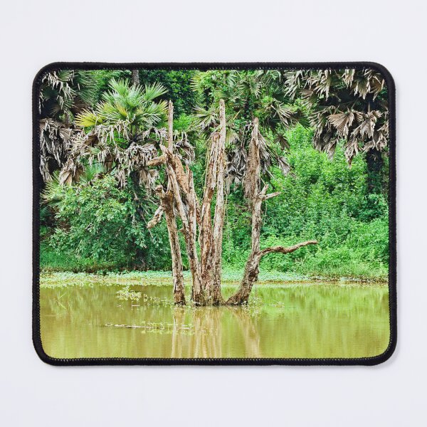 Item preview, Wild Serenity: Banlung, Cambodia’s Natural Paradise designed and sold by franck380.