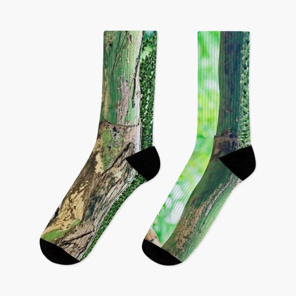 Item preview, Tropical Elegance: Arenga Pinnata on the banks of Banlung Lake designed and sold by franck380.