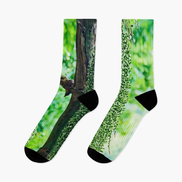 Item preview, Tropical Elegance: Arenga Pinnata on the banks of Banlung Lake designed and sold by franck380.