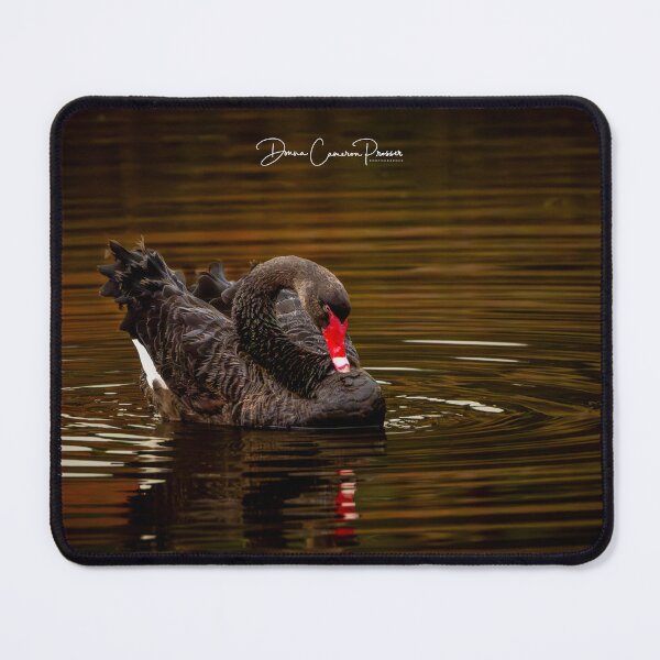 Item preview, On Golden Pond designed and sold by Donna Cameron-Prosser.