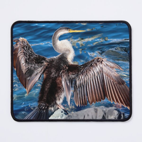 Item preview, Australian darter bird 0790 designed and sold by kevin Chippindall.