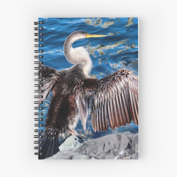 Item preview, Australian darter bird 0790 designed and sold by kevin Chippindall.