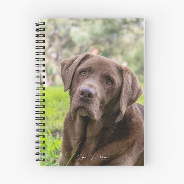 Item preview, Labrador Portrait designed and sold by Donna Cameron-Prosser.