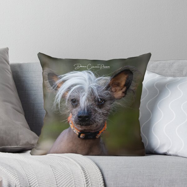 Item preview, Shaggy designed and sold by Donna Cameron-Prosser.