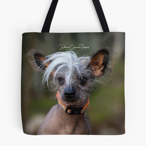 Item preview, Shaggy designed and sold by Donna Cameron-Prosser.