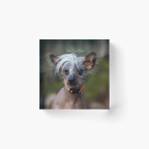 Item preview, Shaggy designed and sold by Donna Cameron-Prosser.