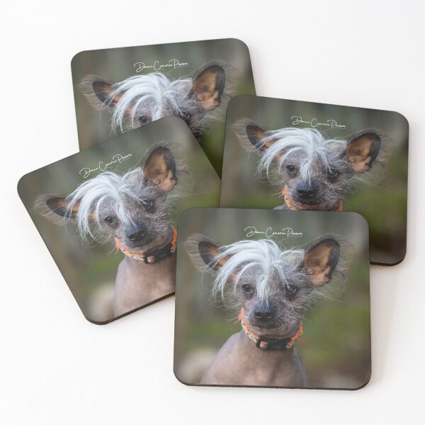 Item preview, Shaggy designed and sold by Donna Cameron-Prosser.