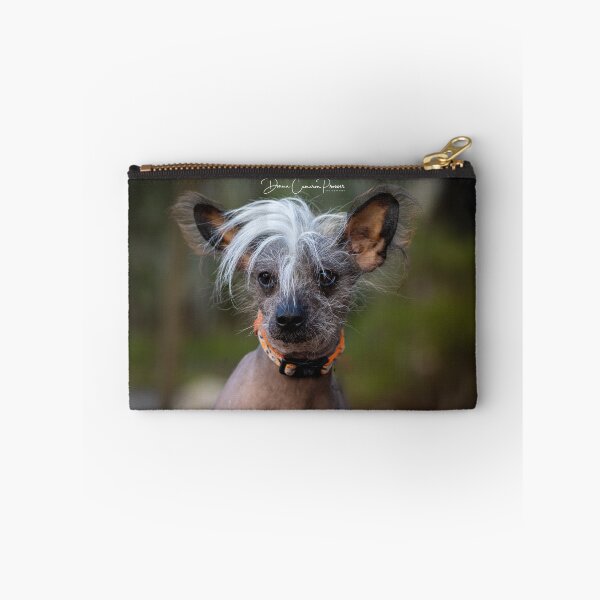 Item preview, Shaggy designed and sold by Donna Cameron-Prosser.