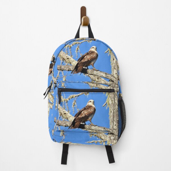 Item preview, Young Kite looking sharp designed and sold by Mark Grimsley.