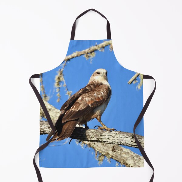 Item preview, Young Kite looking sharp designed and sold by Mark Grimsley.