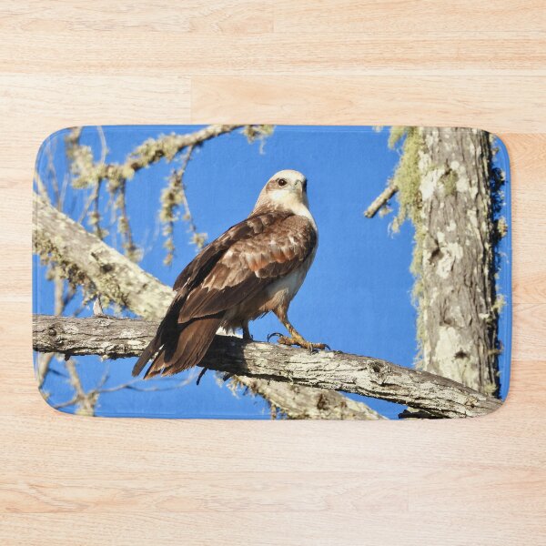 Item preview, Young Kite looking sharp designed and sold by Mark Grimsley.