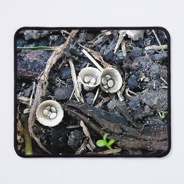 Item preview, Birds Nest Fungus designed and sold by Jimbo McCoy.