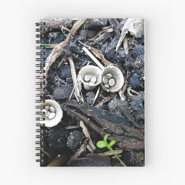 Item preview, Birds Nest Fungus designed and sold by Jimbo McCoy.