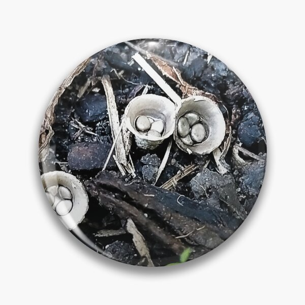 Item preview, Birds Nest Fungus designed and sold by Jimbo McCoy.