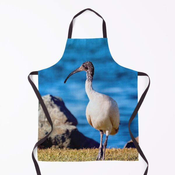Item preview, Australian white ibis 09372 designed and sold by kevin Chippindall.