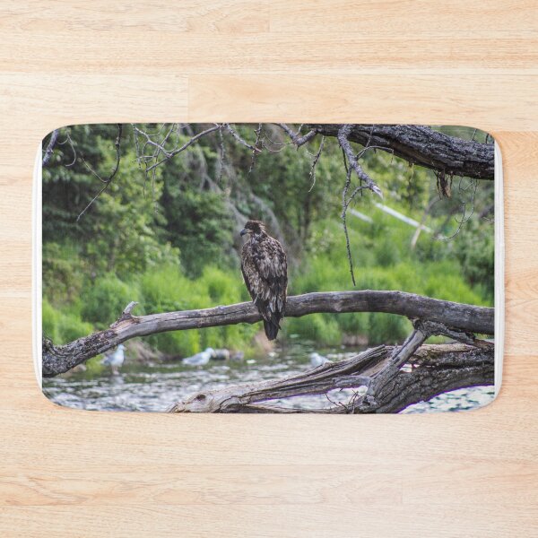 Item preview, Juvenile Eagle Perched On Branch designed and sold by PhrozenPhotos.