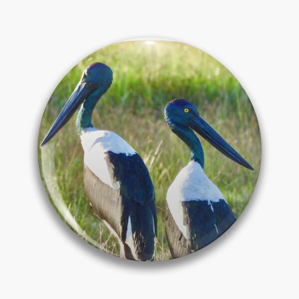 Item preview, Pair of Jabirus, Black-necked Storks  designed and sold by Mark Grimsley.
