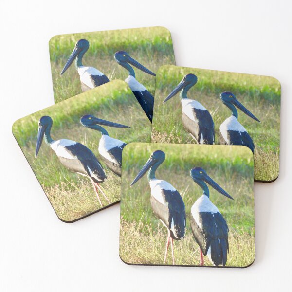 Item preview, Pair of Jabirus, Black-necked Storks  designed and sold by Mark Grimsley.