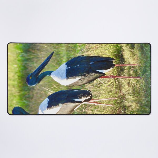 Item preview, Pair of Jabirus, Black-necked Storks  designed and sold by Mark Grimsley.