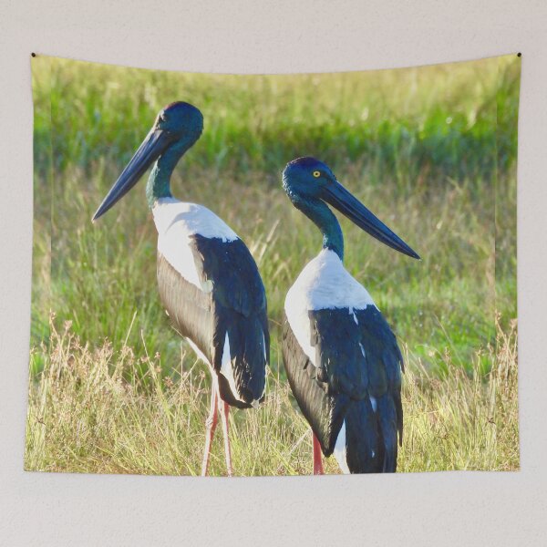 Item preview, Pair of Jabirus, Black-necked Storks  designed and sold by Mark Grimsley.