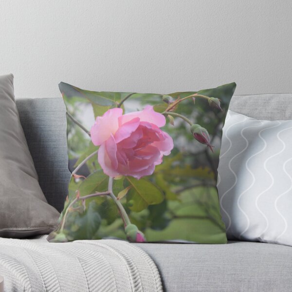 Item preview, Rose Bush designed and sold by colleen  stevenson.
