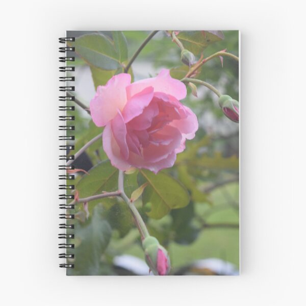 Item preview, Rose Bush designed and sold by colleen  stevenson.